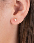 BROQUEL ESTRELLA