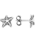 Broquel estrella de mar C2