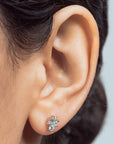 BROQUEL TRIPLE ZIRCONIA