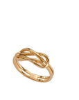 Anillo doble infinito dorado
