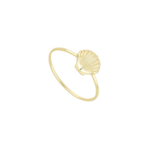 Anillo Concha de Mar de plata con baño de Oro